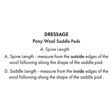 Load image into Gallery viewer, Pony Close Contact Merino Wool Half Lined European Dressage Square