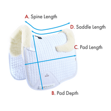 Load image into Gallery viewer, Pony Close Contact Merino Wool Half Lined European Dressage Square