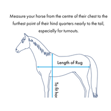 Load image into Gallery viewer, Fly Lite Bug Rug