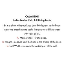 Load image into Gallery viewer, Anima Ladies Synthetic Field Tall Riding Boot