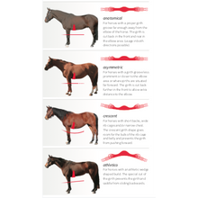 Load image into Gallery viewer, Design your own E.A Mattes Short Girth SLIM LINE (Leather) Cover