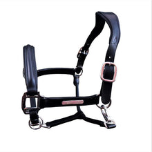 Load image into Gallery viewer, Alize Leather Halter