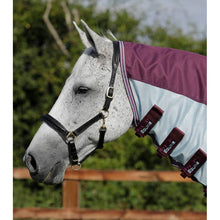 Load image into Gallery viewer, Stay-Dry Mesh Air Fly Rug with Surcingles