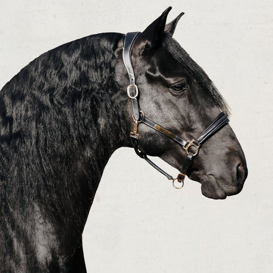 Bella Leather Halter