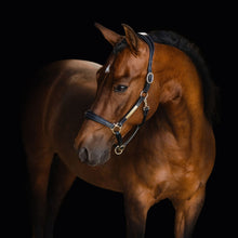 Load image into Gallery viewer, Bella Leather Halter