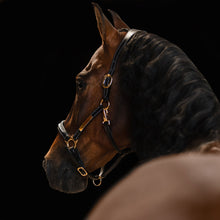 Load image into Gallery viewer, Bella Leather Halter