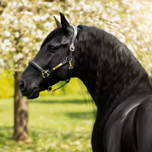 Load image into Gallery viewer, Bella Leather Halter