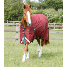 Load image into Gallery viewer, Titan 100g Original Turnout Rug