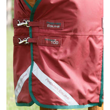 Load image into Gallery viewer, Titan 100g Original Turnout Rug
