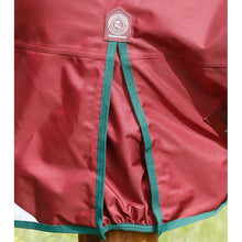 Load image into Gallery viewer, Titan 100g Original Turnout Rug