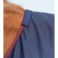 Load image into Gallery viewer, Titan 200g Original Turnout Rug