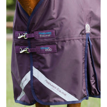 Load image into Gallery viewer, Titan 200g Original Turnout Rug