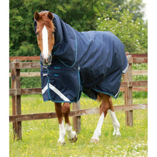 Load image into Gallery viewer, Titan 200g Turnout Rug with Snug-Fit Neck Cover