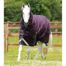 Load image into Gallery viewer, Titan 200g Turnout Rug with Snug-Fit Neck Cover