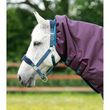 Load image into Gallery viewer, Titan 200g Turnout Rug with Snug-Fit Neck Cover
