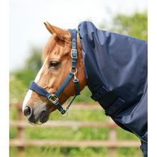 Load image into Gallery viewer, Titan 40g Turnout Rug with Snug-Fit Neck Cover