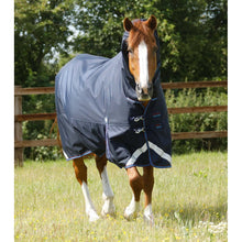Load image into Gallery viewer, Titan Storm 200g Combo Turnout Rug with Snug-Fit Neck
