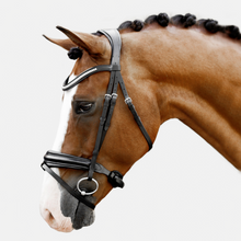 Load image into Gallery viewer, Melodie Classic Bridle (No reins)