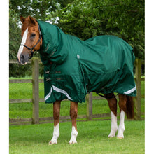 Load image into Gallery viewer, Buster Storm 220 Combo Turnout Rug with Classic Neck