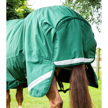 Load image into Gallery viewer, Buster Storm 220 Combo Turnout Rug with Classic Neck