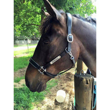 Load image into Gallery viewer, Leather Halter - Silver Fittings with Engraved Horse Nameplate