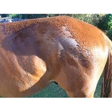 Load image into Gallery viewer, Skin Repair Wash - 1 Litre