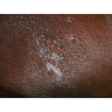 Load image into Gallery viewer, Skin Repair Wash - 1 Litre