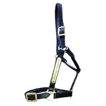 Load image into Gallery viewer, Horse Halter Nameplate