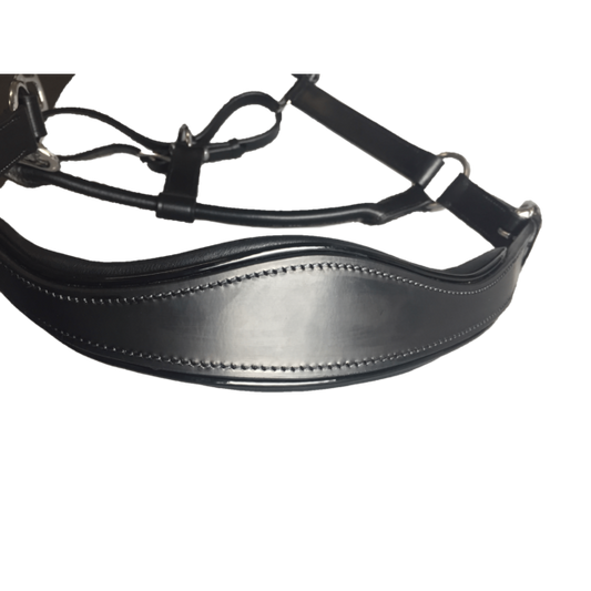 Black Leather Halter - Patent Piping with Engraved Horse Nameplate
