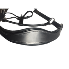 Load image into Gallery viewer, Black Leather Halter - Patent Piping with Engraved Horse Nameplate
