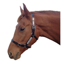 Load image into Gallery viewer, Black PVC Halter - Stainless Steel Fittings with Engraved Horse Nameplate