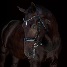 Load image into Gallery viewer, Audrey Rolled Leather Bridle (Cavesson) (No reins) - Full Size