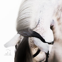 Load image into Gallery viewer, Melodie Classic Bridle (No reins)