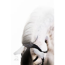 Load image into Gallery viewer, Milan Italian Leather Bridle (Convertible) (No reins)