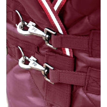 Load image into Gallery viewer, Tuscan Stable Rug 100g