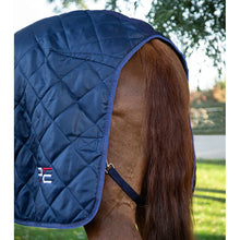 Load image into Gallery viewer, Tuscan Stable Rug 200g