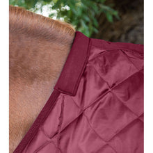 Load image into Gallery viewer, Tuscan Stable Rug 200g