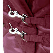 Load image into Gallery viewer, Tuscan Stable Rug 200g