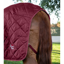 Load image into Gallery viewer, Tuscan Stable Rug 200g