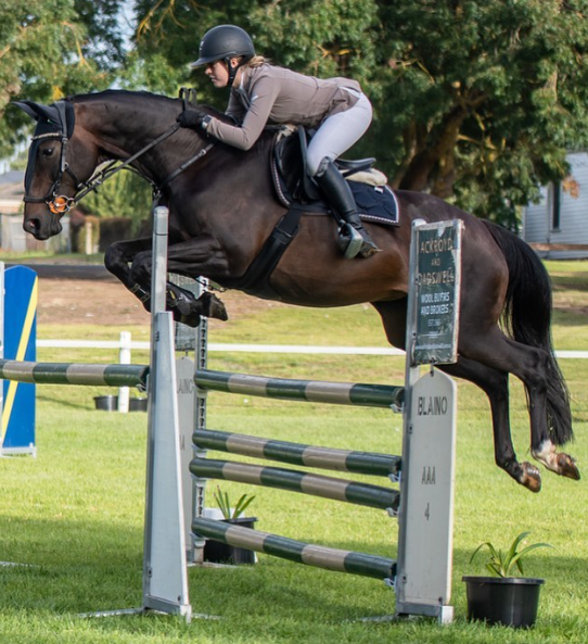 The Ups and Downs of Showjumping