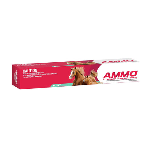 AMMO® Allwormer paste