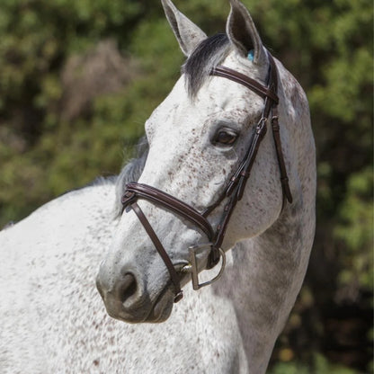 Phoenix Hanoverian Bridle (Convertible)