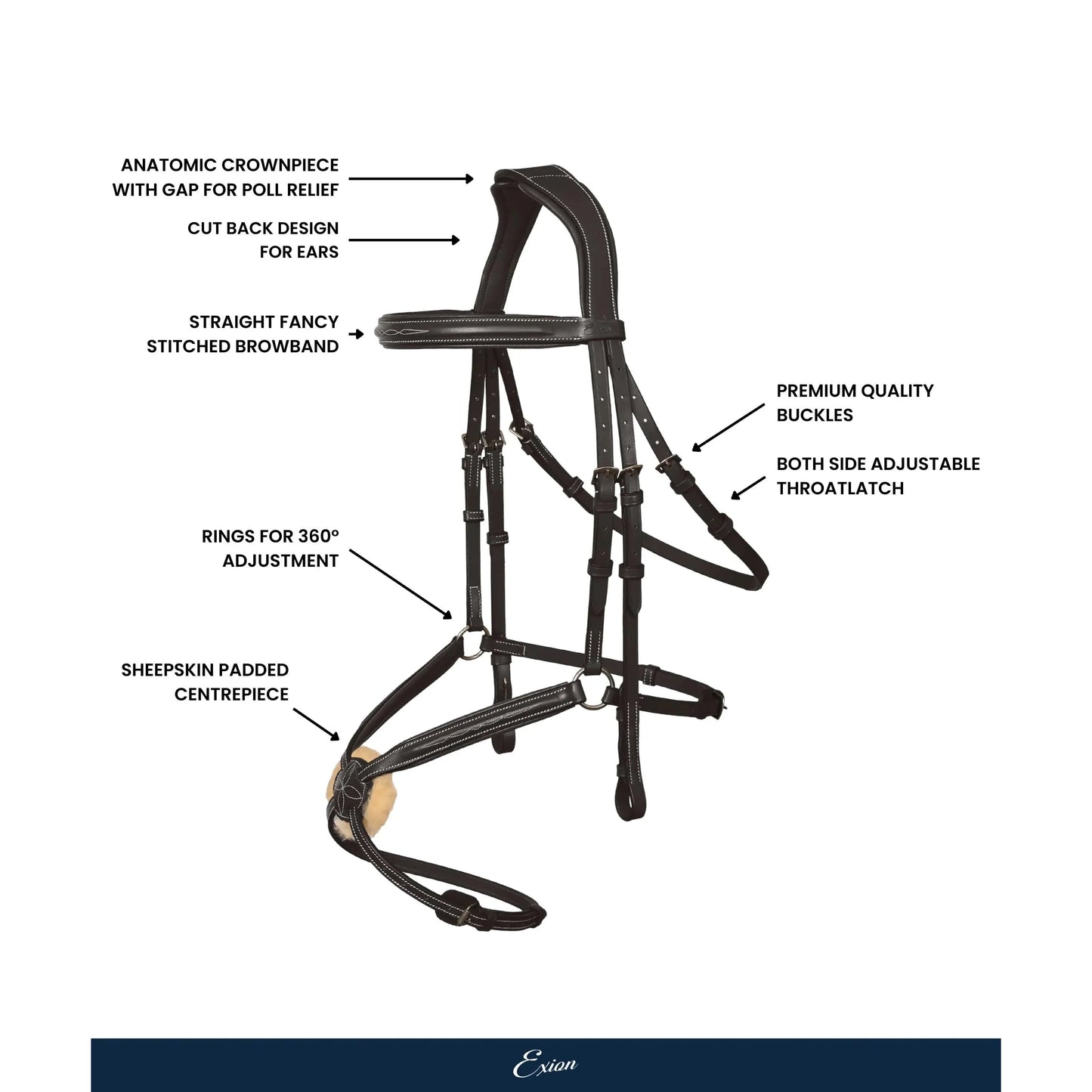 Vela Grackle Bridle
