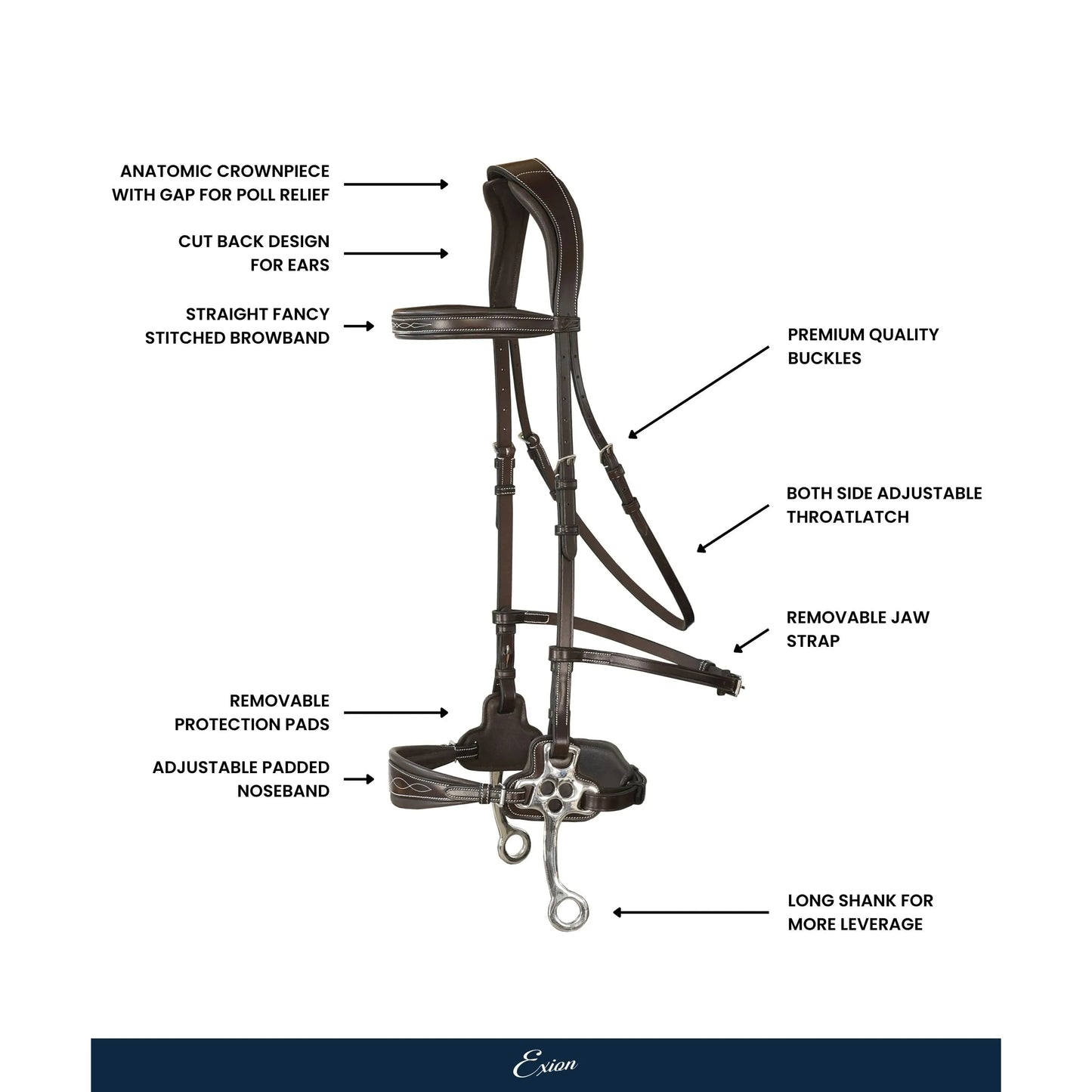 Nova Hackamore Bridle