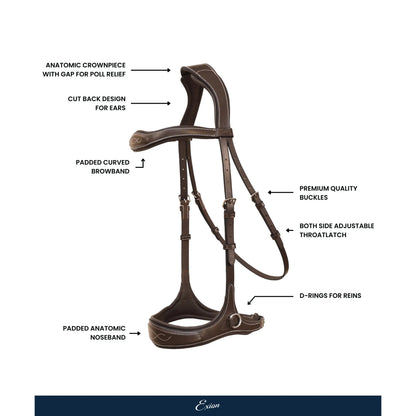 Lynx Anatomical Sidepull Bridle