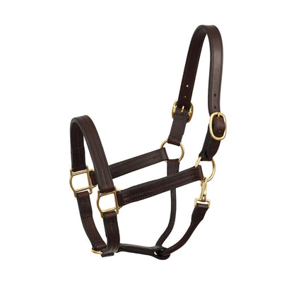 Heavy Duty Havana Leather Track Halter w/snap