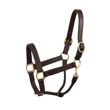 Load image into Gallery viewer, Heavy Duty Havana Leather Track Halter w/snap
