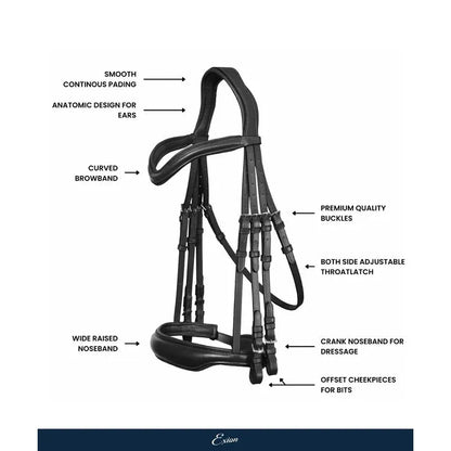 Corvus Dressage Double Bridle