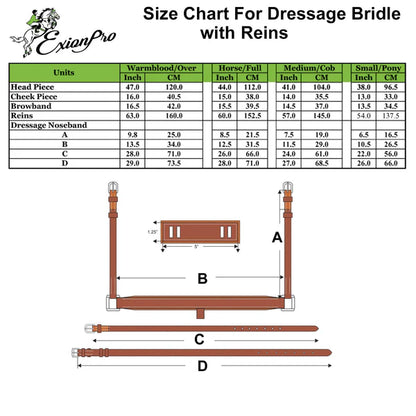 Corvus Dressage Double Bridle