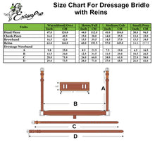 Load image into Gallery viewer, Corvus Dressage Double Bridle